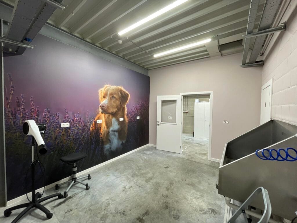 Margot's Hondenatelier