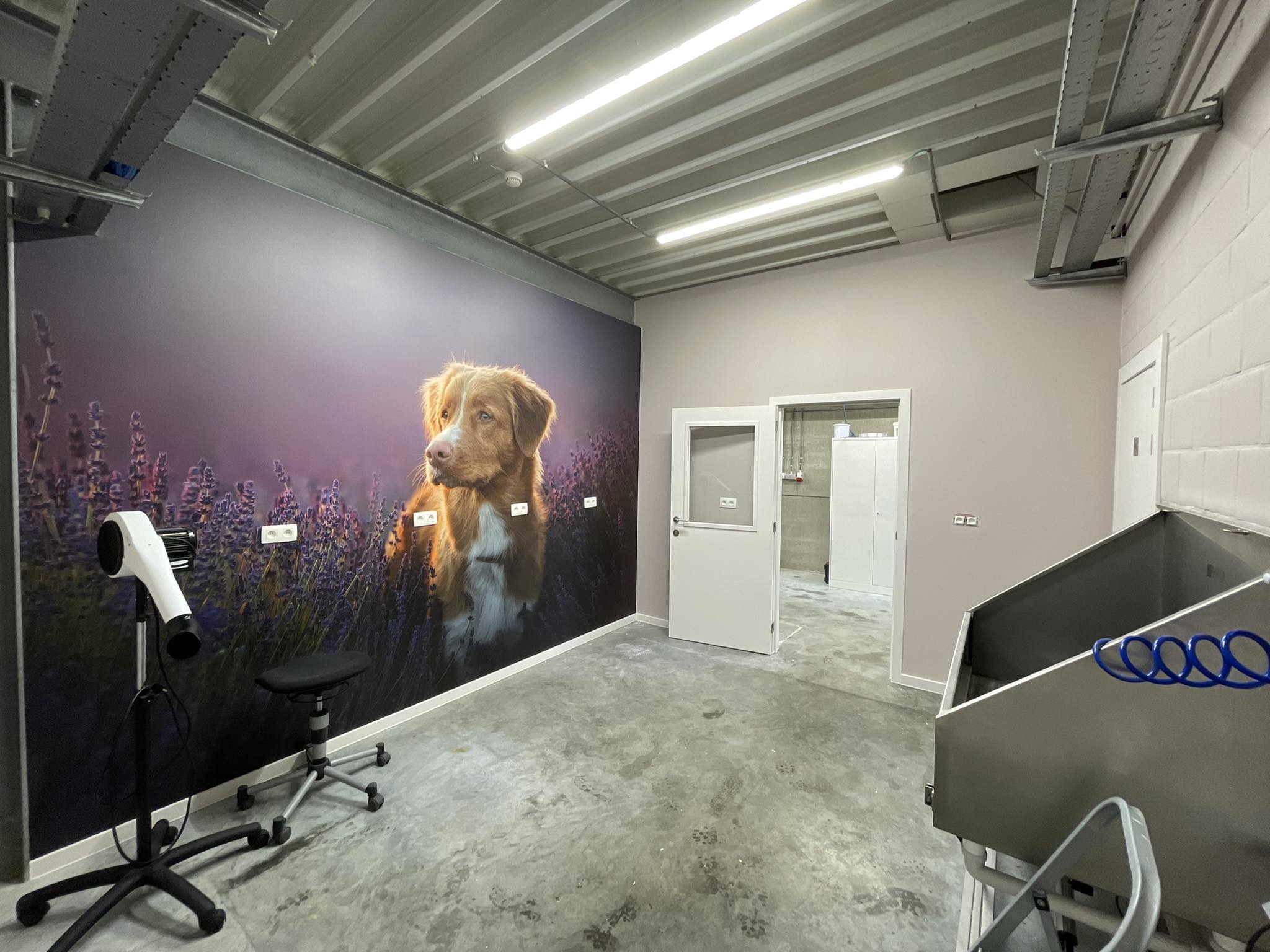 Margot's Hondenatelier