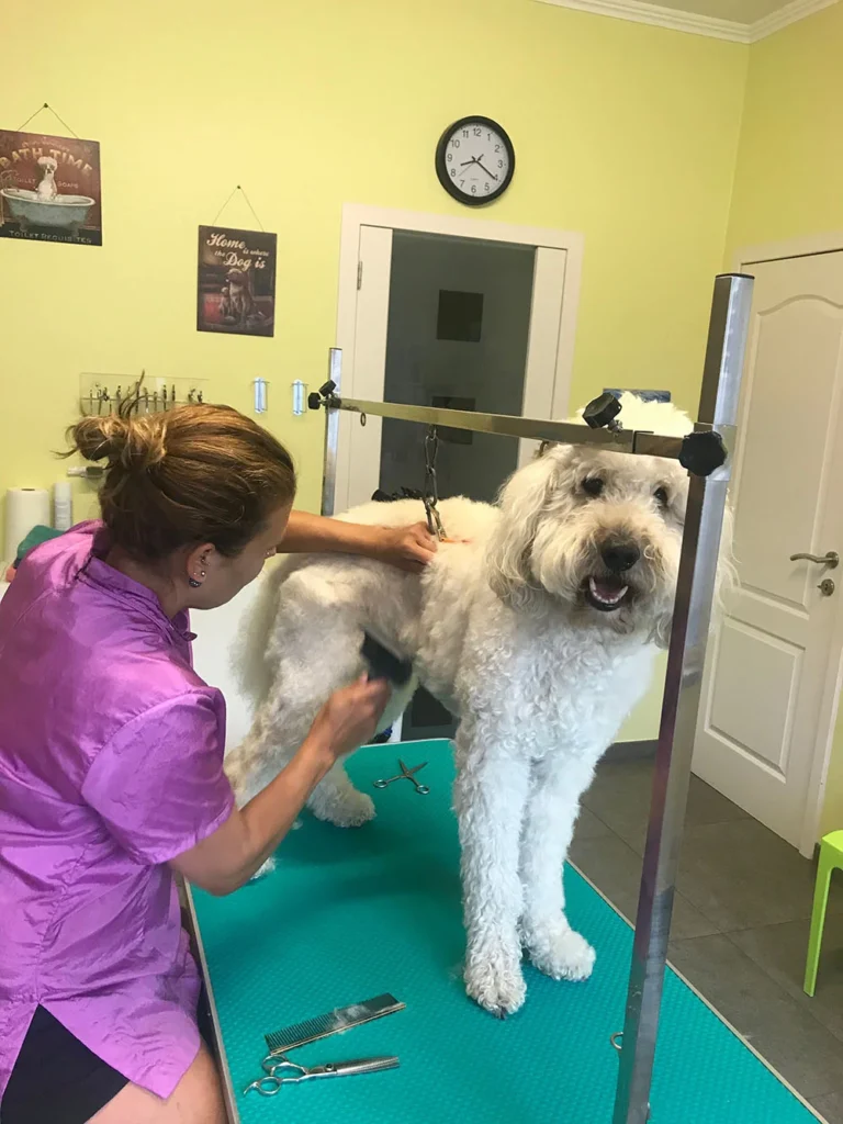 Hondentrimsalon Sofie