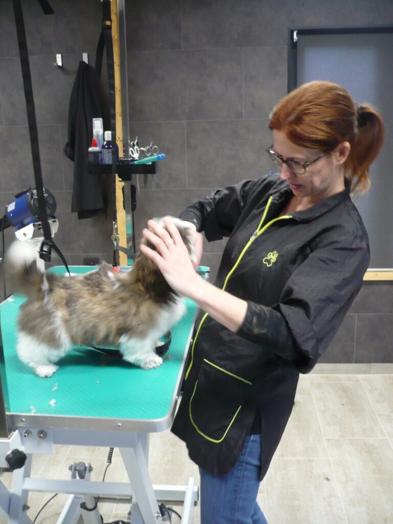 De Vrolijke Viervoeter