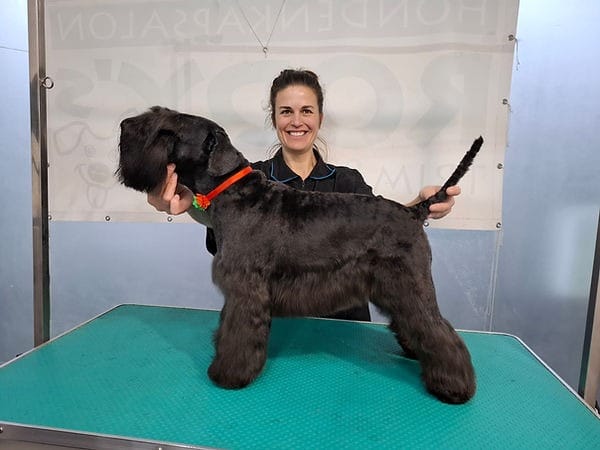 Hondenkapsalon Rody's Trim & Training