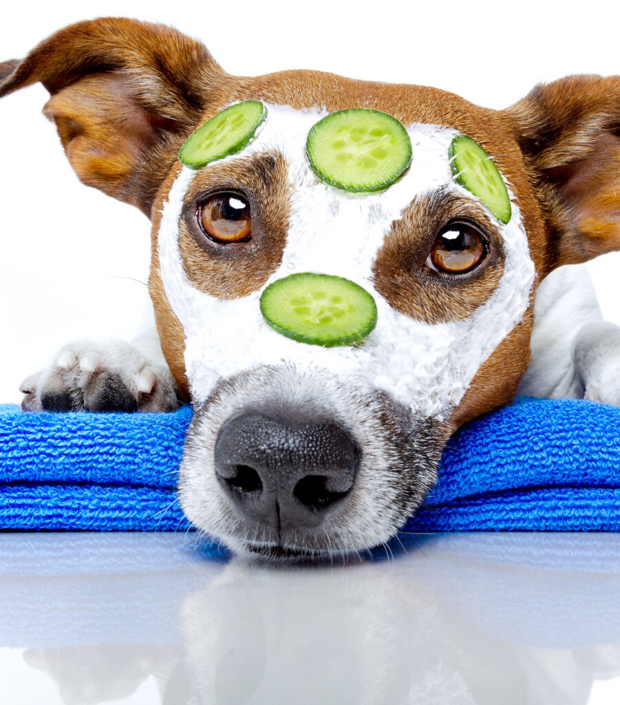 Beautycenter voor hond en kat